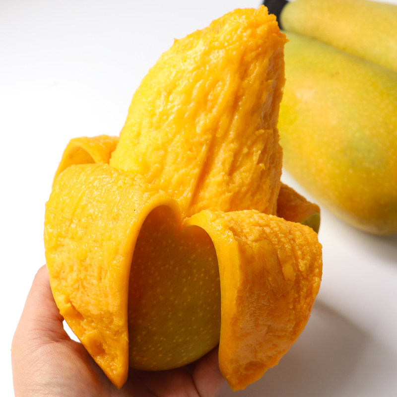 海南三亚金煌芒水仙芒新鲜水果大芒果9斤 净果包邮金皇芒大果纯甜-选品库-美视角-网红自媒体平台-重庆果实电子科技有限公司